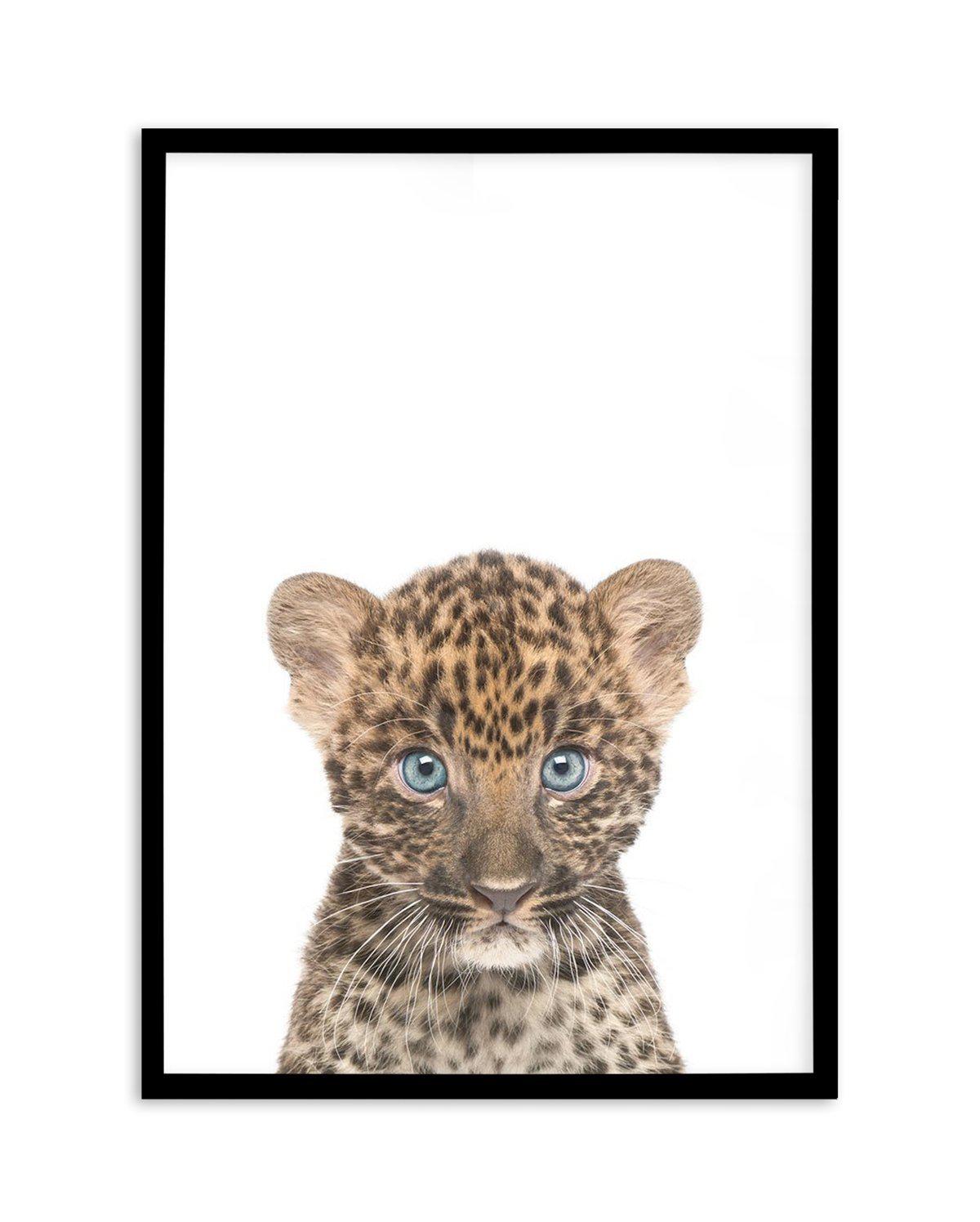 Little Leopard Cub Art Print-PRINT-Olive et Oriel-Olive et Oriel-A5 | 5.8" x 8.3" | 14.8 x 21cm-Black-With White Border-Buy-Australian-Art-Prints-Online-with-Olive-et-Oriel-Your-Artwork-Specialists-Austrailia-Decorate-With-Coastal-Photo-Wall-Art-Prints-From-Our-Beach-House-Artwork-Collection-Fine-Poster-and-Framed-Artwork