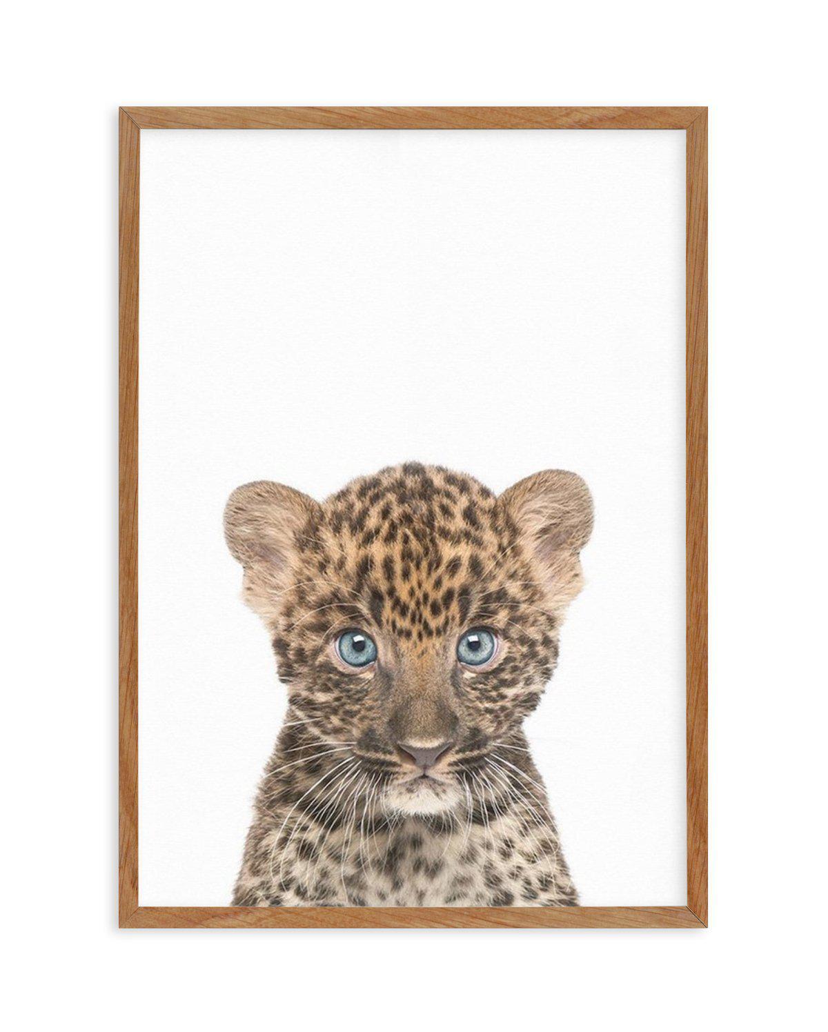 Little Leopard Cub Art Print-PRINT-Olive et Oriel-Olive et Oriel-Buy-Australian-Art-Prints-Online-with-Olive-et-Oriel-Your-Artwork-Specialists-Austrailia-Decorate-With-Coastal-Photo-Wall-Art-Prints-From-Our-Beach-House-Artwork-Collection-Fine-Poster-and-Framed-Artwork