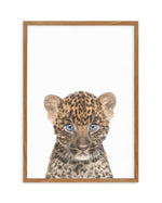 Little Leopard Cub Art Print-PRINT-Olive et Oriel-Olive et Oriel-Buy-Australian-Art-Prints-Online-with-Olive-et-Oriel-Your-Artwork-Specialists-Austrailia-Decorate-With-Coastal-Photo-Wall-Art-Prints-From-Our-Beach-House-Artwork-Collection-Fine-Poster-and-Framed-Artwork