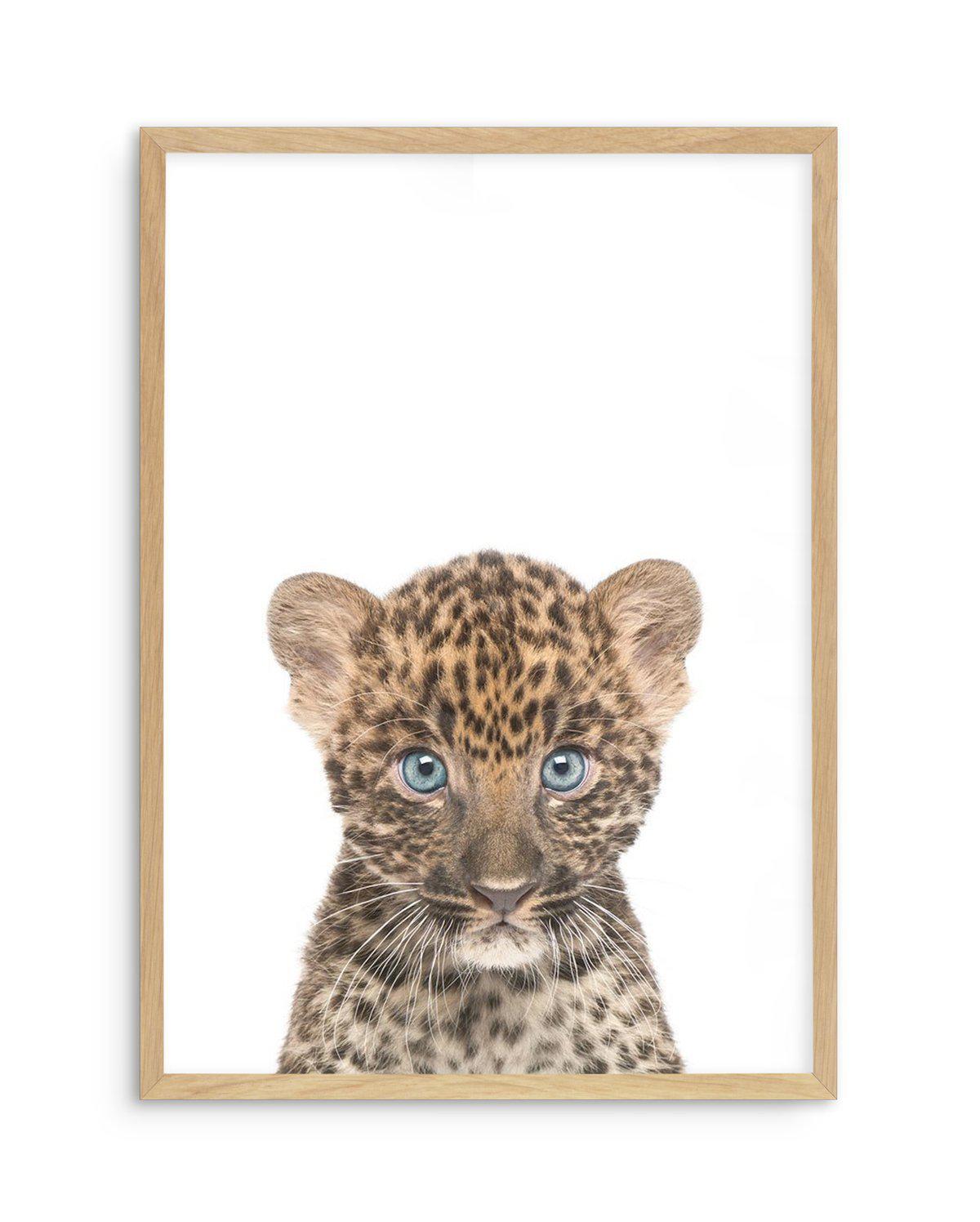 Little Leopard Cub Art Print-PRINT-Olive et Oriel-Olive et Oriel-A5 | 5.8" x 8.3" | 14.8 x 21cm-Oak-With White Border-Buy-Australian-Art-Prints-Online-with-Olive-et-Oriel-Your-Artwork-Specialists-Austrailia-Decorate-With-Coastal-Photo-Wall-Art-Prints-From-Our-Beach-House-Artwork-Collection-Fine-Poster-and-Framed-Artwork