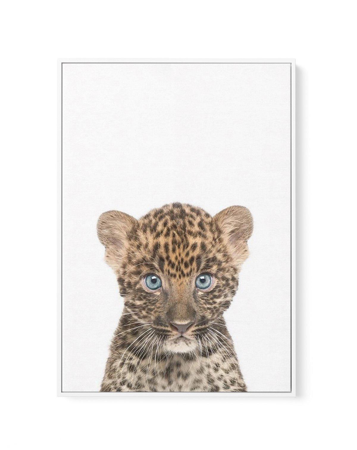 Little Leopard Cub | Framed Canvas-CANVAS-You can shop wall art online with Olive et Oriel for everything from abstract art to fun kids wall art. Our beautiful modern art prints and canvas art are available from large canvas prints to wall art paintings and our proudly Australian artwork collection offers only the highest quality framed large wall art and canvas art Australia - You can buy fashion photography prints or Hampton print posters and paintings on canvas from Olive et Oriel and have th