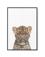 Little Leopard Cub | Framed Canvas-CANVAS-You can shop wall art online with Olive et Oriel for everything from abstract art to fun kids wall art. Our beautiful modern art prints and canvas art are available from large canvas prints to wall art paintings and our proudly Australian artwork collection offers only the highest quality framed large wall art and canvas art Australia - You can buy fashion photography prints or Hampton print posters and paintings on canvas from Olive et Oriel and have th