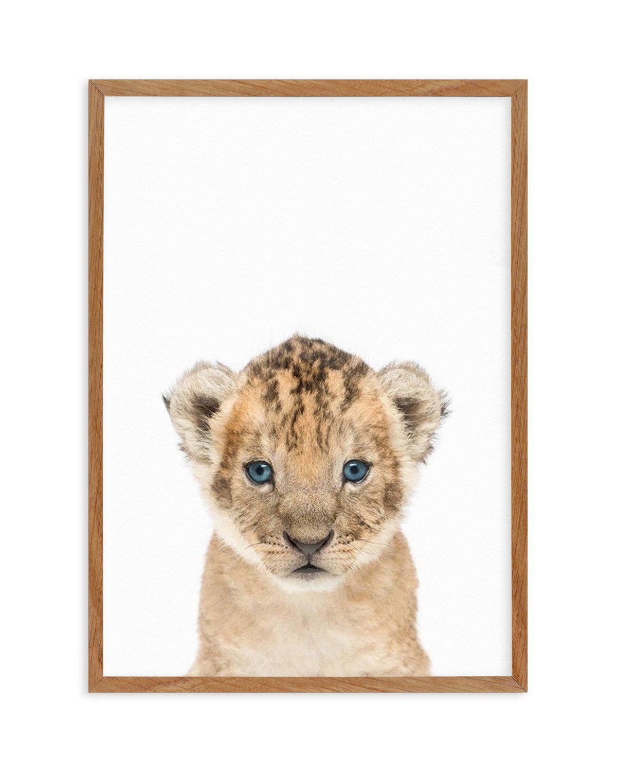 Little Lion Cub Art Print-PRINT-Olive et Oriel-Olive et Oriel-Buy-Australian-Art-Prints-Online-with-Olive-et-Oriel-Your-Artwork-Specialists-Austrailia-Decorate-With-Coastal-Photo-Wall-Art-Prints-From-Our-Beach-House-Artwork-Collection-Fine-Poster-and-Framed-Artwork