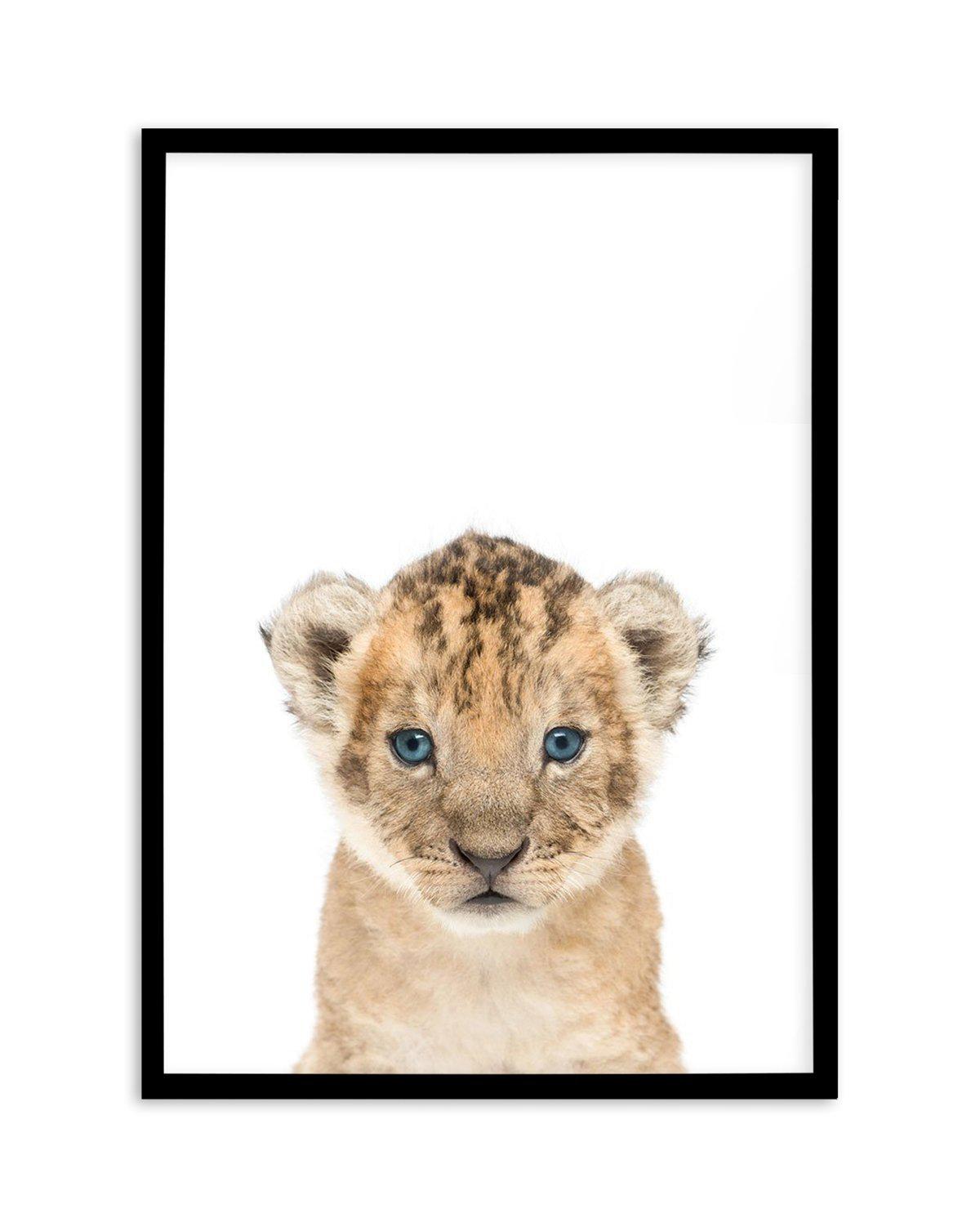 Little Lion Cub Art Print-PRINT-Olive et Oriel-Olive et Oriel-A5 | 5.8" x 8.3" | 14.8 x 21cm-Black-With White Border-Buy-Australian-Art-Prints-Online-with-Olive-et-Oriel-Your-Artwork-Specialists-Austrailia-Decorate-With-Coastal-Photo-Wall-Art-Prints-From-Our-Beach-House-Artwork-Collection-Fine-Poster-and-Framed-Artwork