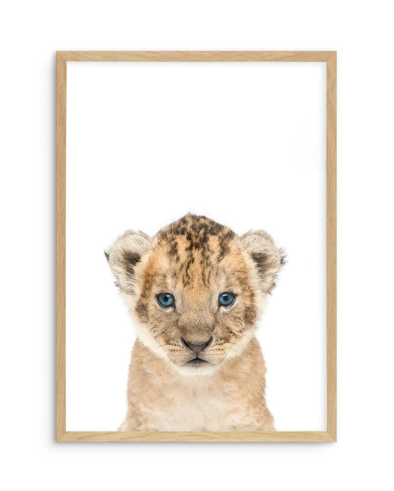Little Lion Cub Art Print-PRINT-Olive et Oriel-Olive et Oriel-A5 | 5.8" x 8.3" | 14.8 x 21cm-Oak-With White Border-Buy-Australian-Art-Prints-Online-with-Olive-et-Oriel-Your-Artwork-Specialists-Austrailia-Decorate-With-Coastal-Photo-Wall-Art-Prints-From-Our-Beach-House-Artwork-Collection-Fine-Poster-and-Framed-Artwork