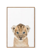 Little Lion Cub | Framed Canvas-CANVAS-You can shop wall art online with Olive et Oriel for everything from abstract art to fun kids wall art. Our beautiful modern art prints and canvas art are available from large canvas prints to wall art paintings and our proudly Australian artwork collection offers only the highest quality framed large wall art and canvas art Australia - You can buy fashion photography prints or Hampton print posters and paintings on canvas from Olive et Oriel and have them 