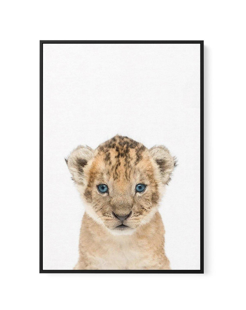 Little Lion Cub | Framed Canvas-CANVAS-You can shop wall art online with Olive et Oriel for everything from abstract art to fun kids wall art. Our beautiful modern art prints and canvas art are available from large canvas prints to wall art paintings and our proudly Australian artwork collection offers only the highest quality framed large wall art and canvas art Australia - You can buy fashion photography prints or Hampton print posters and paintings on canvas from Olive et Oriel and have them 