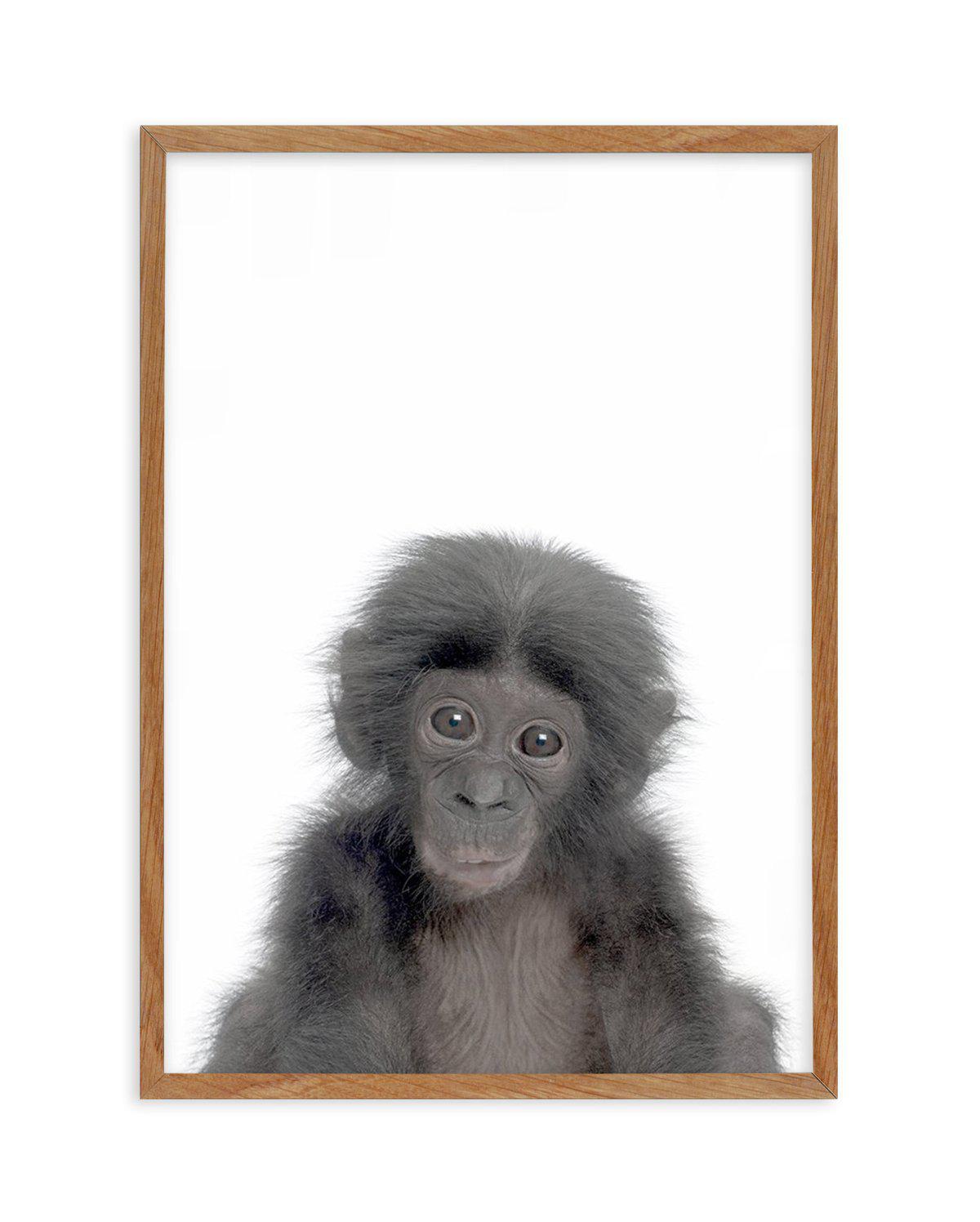 Little Monkey Art Print-PRINT-Olive et Oriel-Olive et Oriel-Buy-Australian-Art-Prints-Online-with-Olive-et-Oriel-Your-Artwork-Specialists-Austrailia-Decorate-With-Coastal-Photo-Wall-Art-Prints-From-Our-Beach-House-Artwork-Collection-Fine-Poster-and-Framed-Artwork