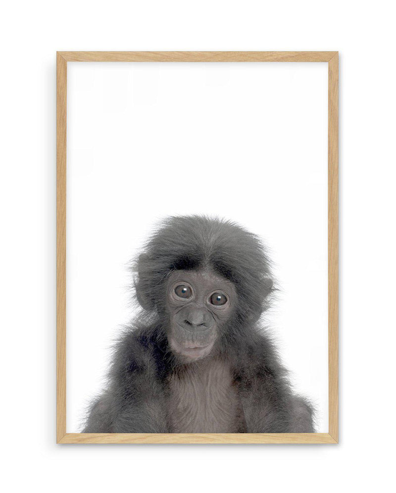Little Monkey Art Print-PRINT-Olive et Oriel-Olive et Oriel-A5 | 5.8" x 8.3" | 14.8 x 21cm-Oak-With White Border-Buy-Australian-Art-Prints-Online-with-Olive-et-Oriel-Your-Artwork-Specialists-Austrailia-Decorate-With-Coastal-Photo-Wall-Art-Prints-From-Our-Beach-House-Artwork-Collection-Fine-Poster-and-Framed-Artwork