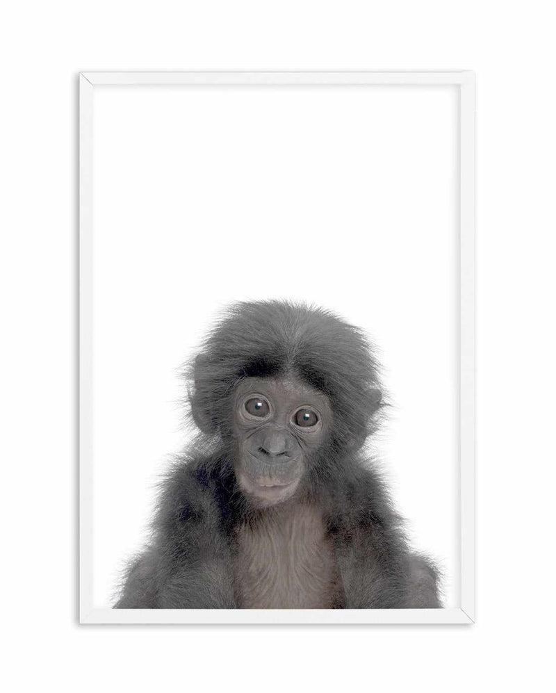 Little Monkey Art Print-PRINT-Olive et Oriel-Olive et Oriel-A5 | 5.8" x 8.3" | 14.8 x 21cm-White-With White Border-Buy-Australian-Art-Prints-Online-with-Olive-et-Oriel-Your-Artwork-Specialists-Austrailia-Decorate-With-Coastal-Photo-Wall-Art-Prints-From-Our-Beach-House-Artwork-Collection-Fine-Poster-and-Framed-Artwork