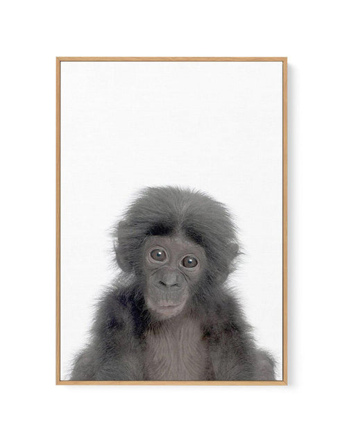 Little Monkey | Framed Canvas-CANVAS-You can shop wall art online with Olive et Oriel for everything from abstract art to fun kids wall art. Our beautiful modern art prints and canvas art are available from large canvas prints to wall art paintings and our proudly Australian artwork collection offers only the highest quality framed large wall art and canvas art Australia - You can buy fashion photography prints or Hampton print posters and paintings on canvas from Olive et Oriel and have them de