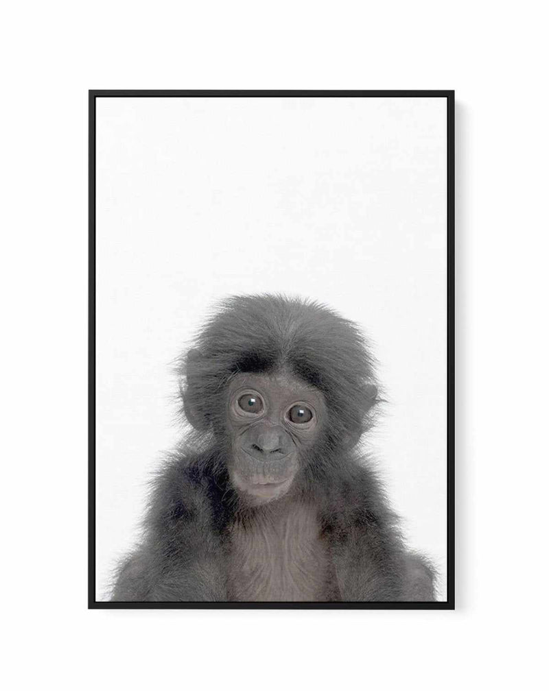 Little Monkey | Framed Canvas-CANVAS-You can shop wall art online with Olive et Oriel for everything from abstract art to fun kids wall art. Our beautiful modern art prints and canvas art are available from large canvas prints to wall art paintings and our proudly Australian artwork collection offers only the highest quality framed large wall art and canvas art Australia - You can buy fashion photography prints or Hampton print posters and paintings on canvas from Olive et Oriel and have them de