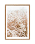 Little Pampas Art Print-PRINT-Olive et Oriel-Olive et Oriel-Buy-Australian-Art-Prints-Online-with-Olive-et-Oriel-Your-Artwork-Specialists-Austrailia-Decorate-With-Coastal-Photo-Wall-Art-Prints-From-Our-Beach-House-Artwork-Collection-Fine-Poster-and-Framed-Artwork