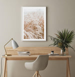 Little Pampas Art Print-PRINT-Olive et Oriel-Olive et Oriel-Buy-Australian-Art-Prints-Online-with-Olive-et-Oriel-Your-Artwork-Specialists-Austrailia-Decorate-With-Coastal-Photo-Wall-Art-Prints-From-Our-Beach-House-Artwork-Collection-Fine-Poster-and-Framed-Artwork