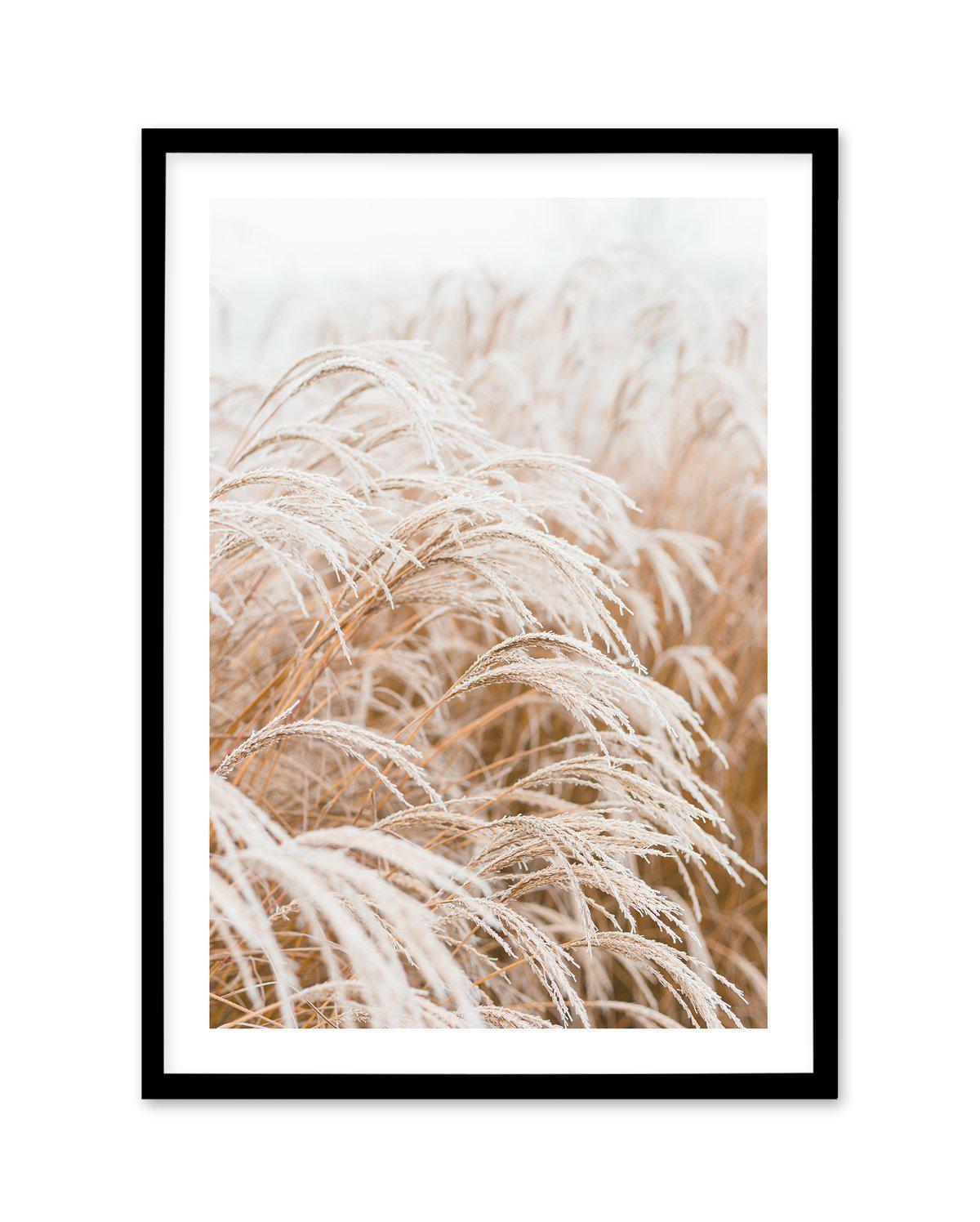 Little Pampas Art Print-PRINT-Olive et Oriel-Olive et Oriel-A5 | 5.8" x 8.3" | 14.8 x 21cm-Black-With White Border-Buy-Australian-Art-Prints-Online-with-Olive-et-Oriel-Your-Artwork-Specialists-Austrailia-Decorate-With-Coastal-Photo-Wall-Art-Prints-From-Our-Beach-House-Artwork-Collection-Fine-Poster-and-Framed-Artwork