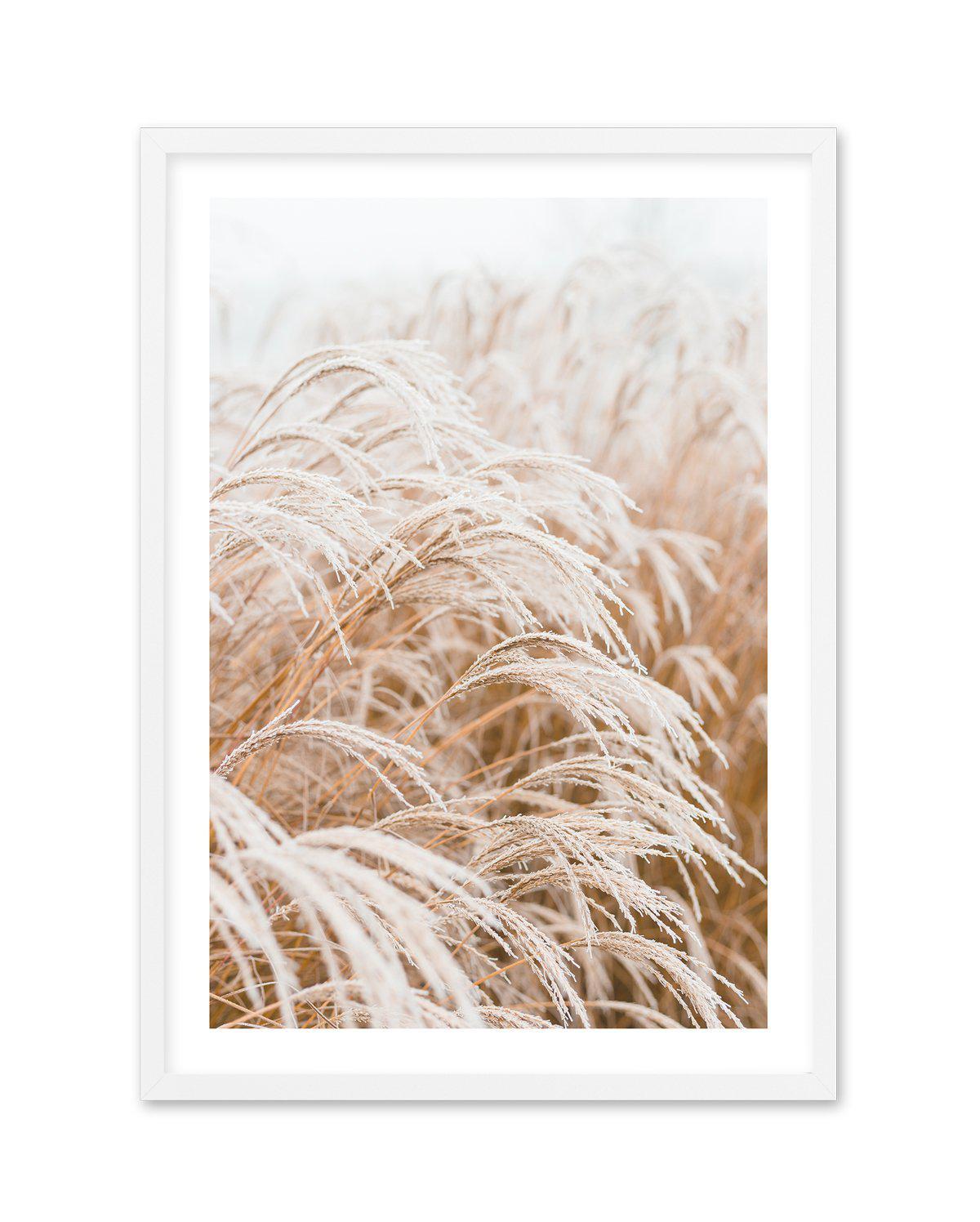 Little Pampas Art Print-PRINT-Olive et Oriel-Olive et Oriel-A5 | 5.8" x 8.3" | 14.8 x 21cm-White-With White Border-Buy-Australian-Art-Prints-Online-with-Olive-et-Oriel-Your-Artwork-Specialists-Austrailia-Decorate-With-Coastal-Photo-Wall-Art-Prints-From-Our-Beach-House-Artwork-Collection-Fine-Poster-and-Framed-Artwork