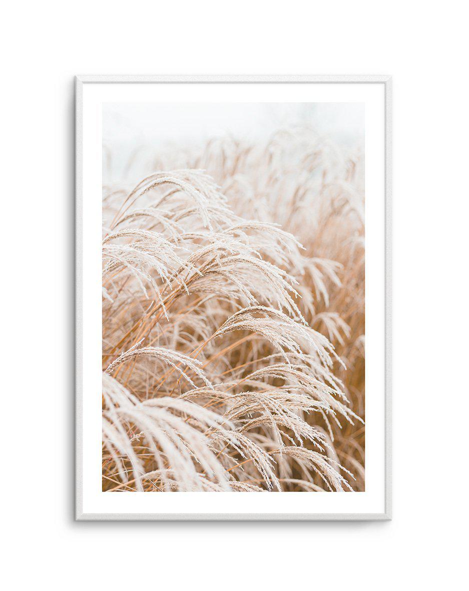 Little Pampas Art Print-PRINT-Olive et Oriel-Olive et Oriel-A5 | 5.8" x 8.3" | 14.8 x 21cm-Unframed Art Print-With White Border-Buy-Australian-Art-Prints-Online-with-Olive-et-Oriel-Your-Artwork-Specialists-Austrailia-Decorate-With-Coastal-Photo-Wall-Art-Prints-From-Our-Beach-House-Artwork-Collection-Fine-Poster-and-Framed-Artwork