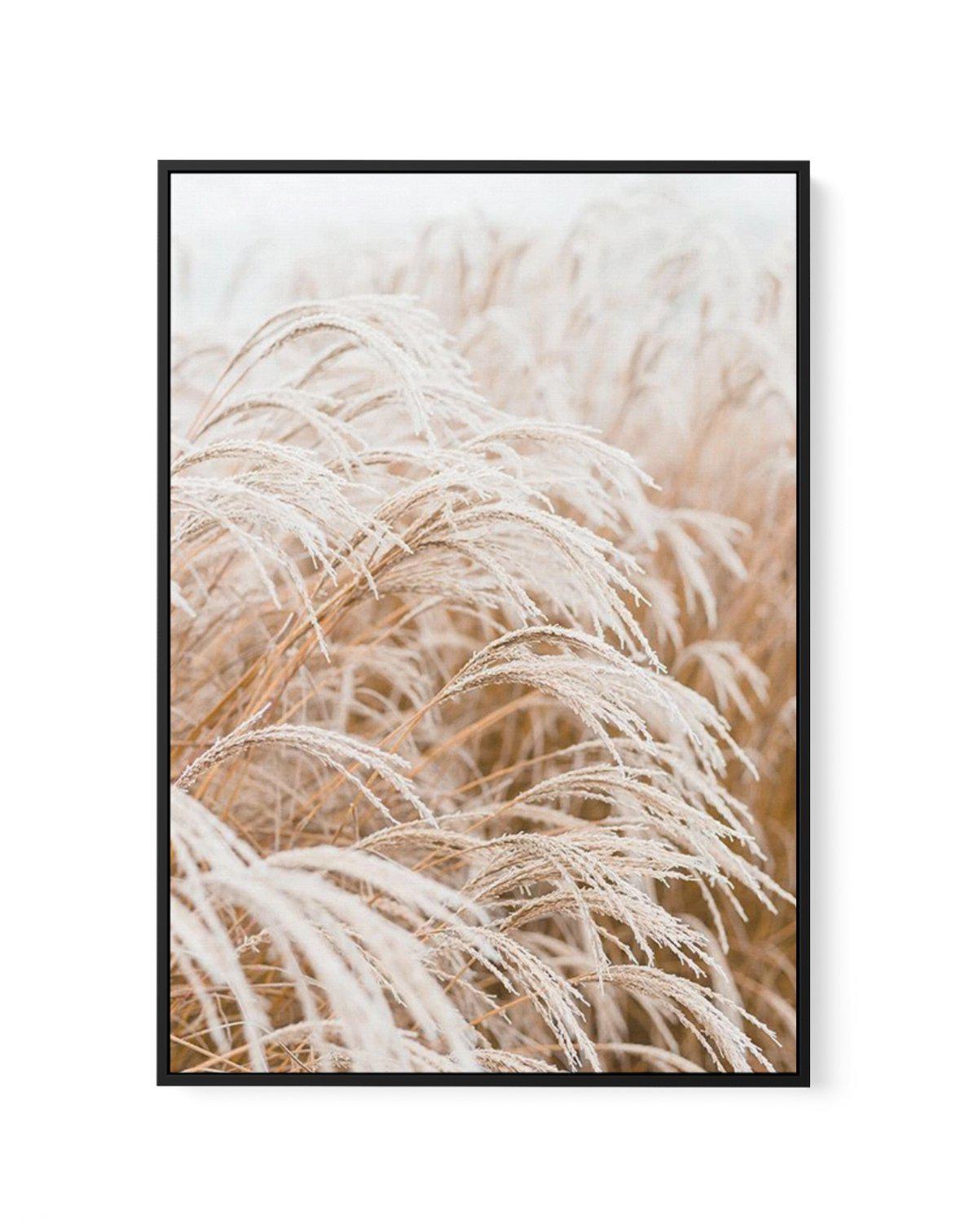 Little Pampas | Framed Canvas-CANVAS-You can shop wall art online with Olive et Oriel for everything from abstract art to fun kids wall art. Our beautiful modern art prints and canvas art are available from large canvas prints to wall art paintings and our proudly Australian artwork collection offers only the highest quality framed large wall art and canvas art Australia - You can buy fashion photography prints or Hampton print posters and paintings on canvas from Olive et Oriel and have them de