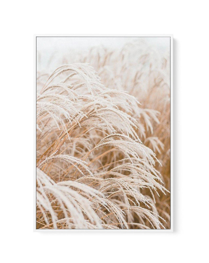 Little Pampas | Framed Canvas-CANVAS-You can shop wall art online with Olive et Oriel for everything from abstract art to fun kids wall art. Our beautiful modern art prints and canvas art are available from large canvas prints to wall art paintings and our proudly Australian artwork collection offers only the highest quality framed large wall art and canvas art Australia - You can buy fashion photography prints or Hampton print posters and paintings on canvas from Olive et Oriel and have them de