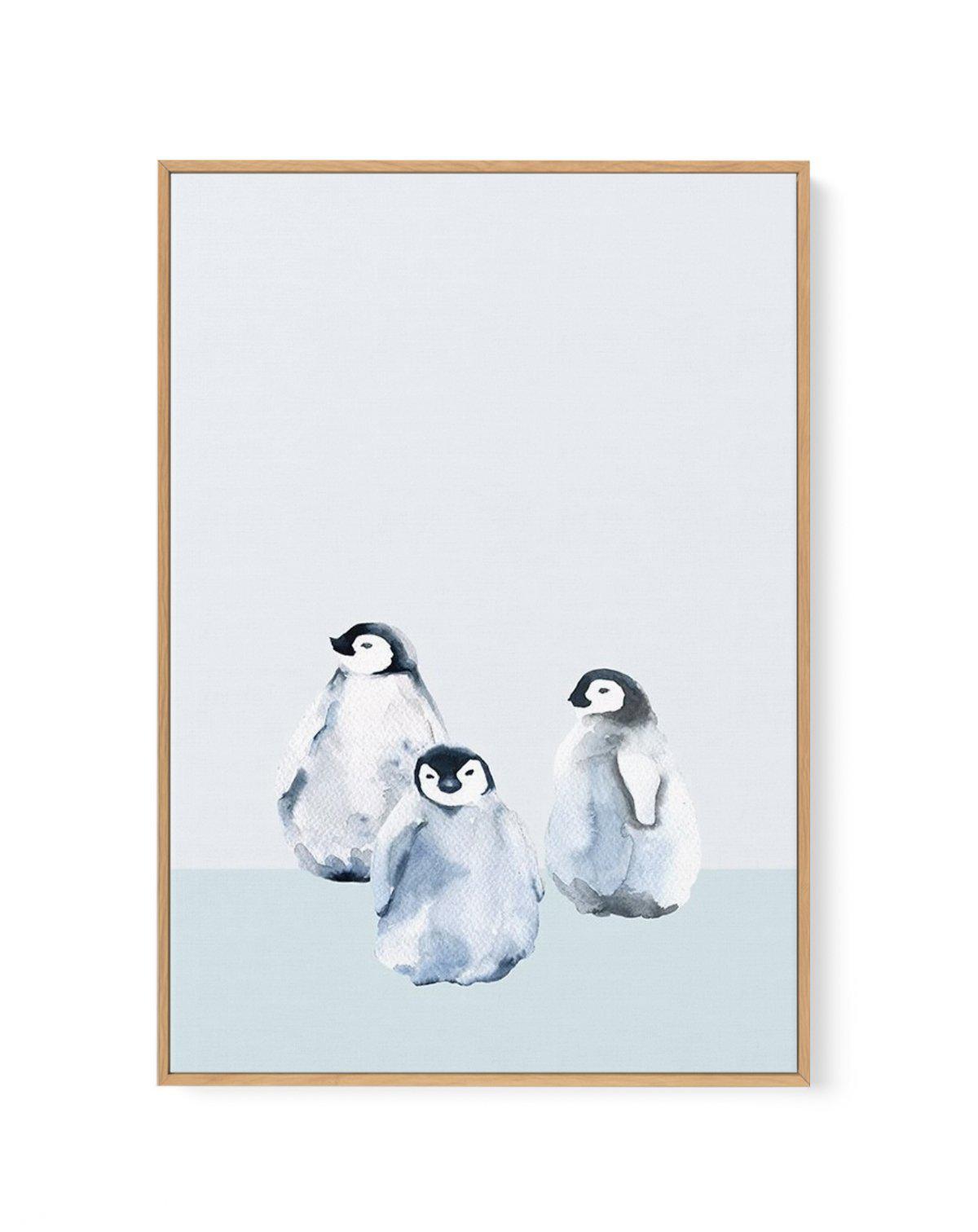 Little Penguins II | Framed Canvas-CANVAS-You can shop wall art online with Olive et Oriel for everything from abstract art to fun kids wall art. Our beautiful modern art prints and canvas art are available from large canvas prints to wall art paintings and our proudly Australian artwork collection offers only the highest quality framed large wall art and canvas art Australia - You can buy fashion photography prints or Hampton print posters and paintings on canvas from Olive et Oriel and have th