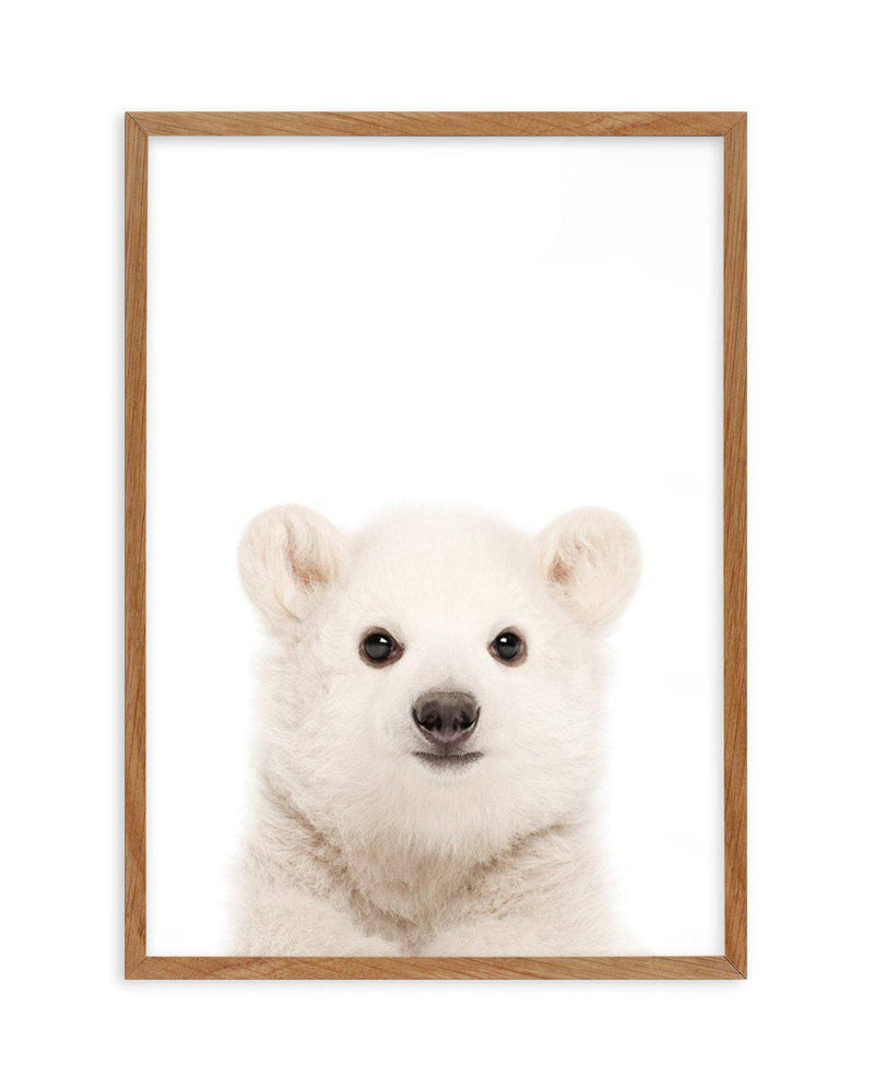 Little Polar Bear Art Print-PRINT-Olive et Oriel-Olive et Oriel-Buy-Australian-Art-Prints-Online-with-Olive-et-Oriel-Your-Artwork-Specialists-Austrailia-Decorate-With-Coastal-Photo-Wall-Art-Prints-From-Our-Beach-House-Artwork-Collection-Fine-Poster-and-Framed-Artwork