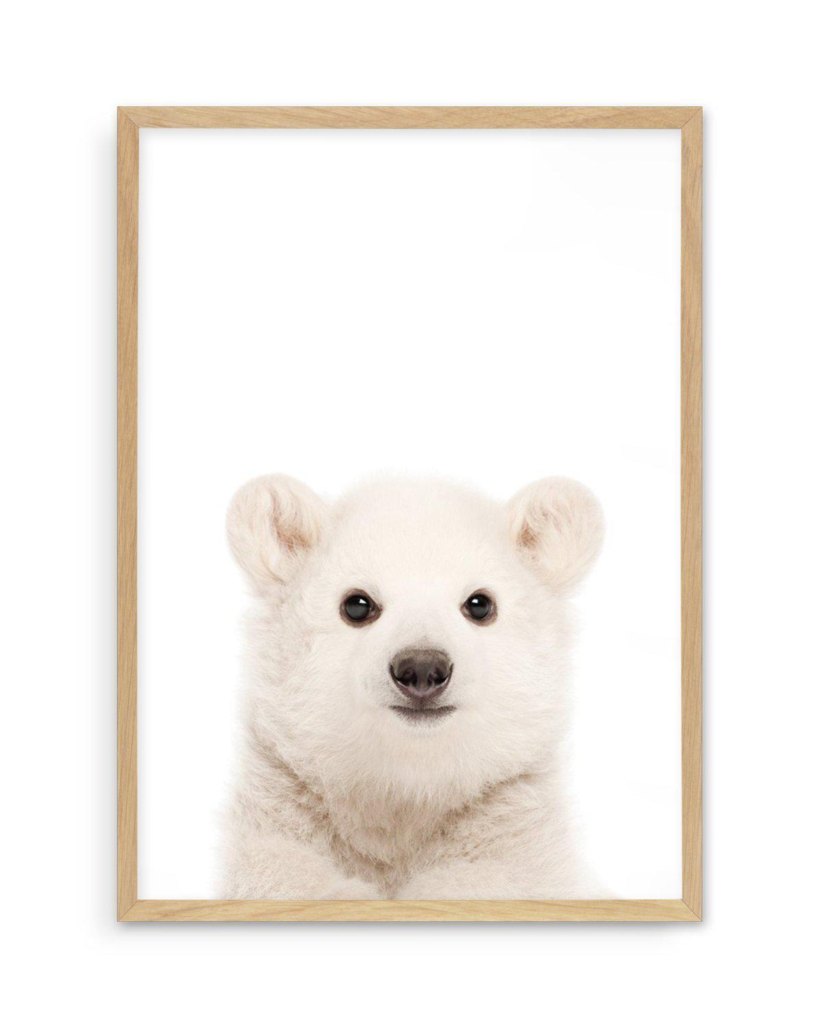 Little Polar Bear Art Print-PRINT-Olive et Oriel-Olive et Oriel-A5 | 5.8" x 8.3" | 14.8 x 21cm-Oak-With White Border-Buy-Australian-Art-Prints-Online-with-Olive-et-Oriel-Your-Artwork-Specialists-Austrailia-Decorate-With-Coastal-Photo-Wall-Art-Prints-From-Our-Beach-House-Artwork-Collection-Fine-Poster-and-Framed-Artwork