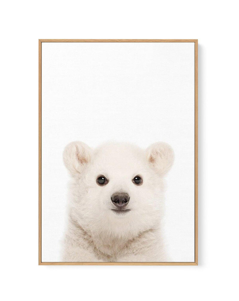 Little Polar Bear | Framed Canvas-CANVAS-You can shop wall art online with Olive et Oriel for everything from abstract art to fun kids wall art. Our beautiful modern art prints and canvas art are available from large canvas prints to wall art paintings and our proudly Australian artwork collection offers only the highest quality framed large wall art and canvas art Australia - You can buy fashion photography prints or Hampton print posters and paintings on canvas from Olive et Oriel and have the