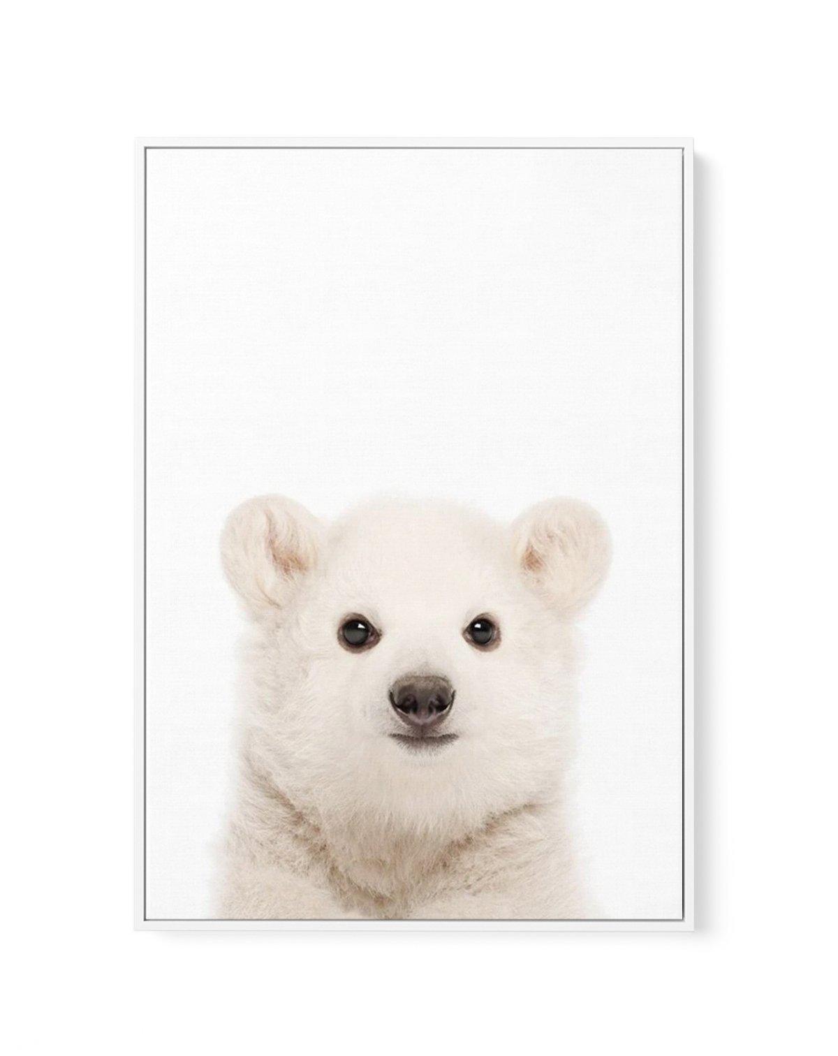 Little Polar Bear | Framed Canvas-CANVAS-You can shop wall art online with Olive et Oriel for everything from abstract art to fun kids wall art. Our beautiful modern art prints and canvas art are available from large canvas prints to wall art paintings and our proudly Australian artwork collection offers only the highest quality framed large wall art and canvas art Australia - You can buy fashion photography prints or Hampton print posters and paintings on canvas from Olive et Oriel and have the