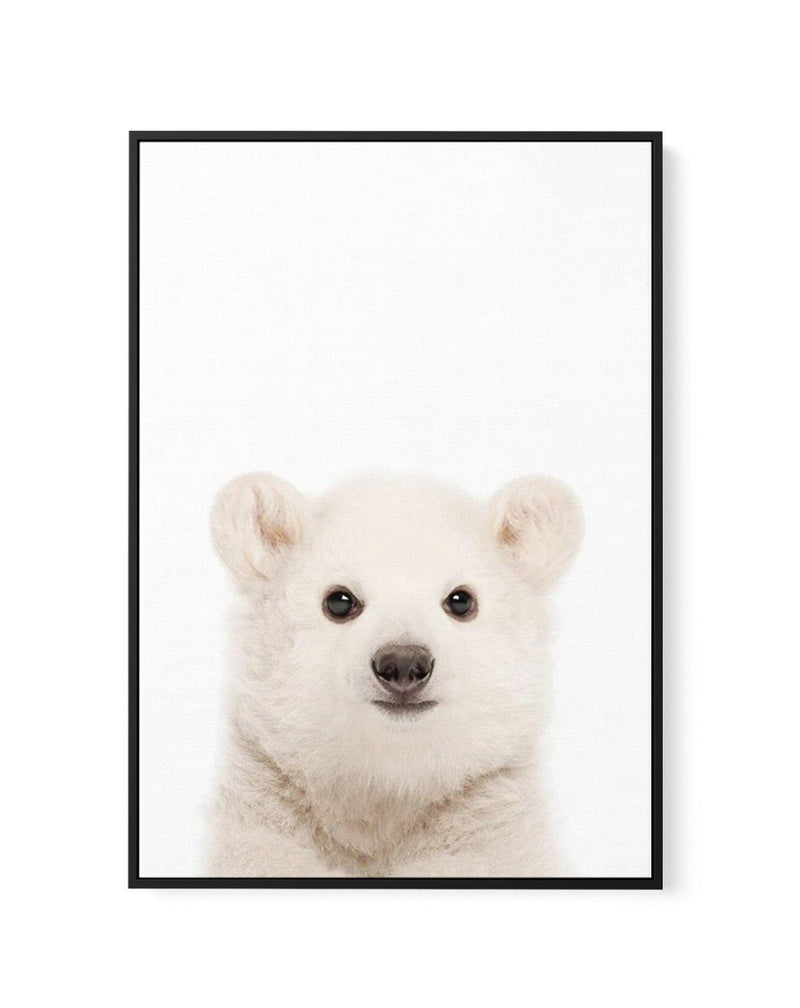 Little Polar Bear | Framed Canvas-CANVAS-You can shop wall art online with Olive et Oriel for everything from abstract art to fun kids wall art. Our beautiful modern art prints and canvas art are available from large canvas prints to wall art paintings and our proudly Australian artwork collection offers only the highest quality framed large wall art and canvas art Australia - You can buy fashion photography prints or Hampton print posters and paintings on canvas from Olive et Oriel and have the