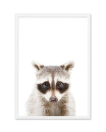 Little Raccoon Art Print-PRINT-Olive et Oriel-Olive et Oriel-A5 | 5.8" x 8.3" | 14.8 x 21cm-White-With White Border-Buy-Australian-Art-Prints-Online-with-Olive-et-Oriel-Your-Artwork-Specialists-Austrailia-Decorate-With-Coastal-Photo-Wall-Art-Prints-From-Our-Beach-House-Artwork-Collection-Fine-Poster-and-Framed-Artwork