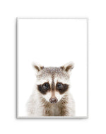 Little Raccoon Art Print-PRINT-Olive et Oriel-Olive et Oriel-A5 | 5.8" x 8.3" | 14.8 x 21cm-Unframed Art Print-With White Border-Buy-Australian-Art-Prints-Online-with-Olive-et-Oriel-Your-Artwork-Specialists-Austrailia-Decorate-With-Coastal-Photo-Wall-Art-Prints-From-Our-Beach-House-Artwork-Collection-Fine-Poster-and-Framed-Artwork