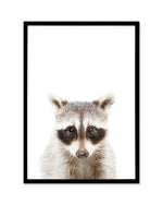 Little Raccoon Art Print-PRINT-Olive et Oriel-Olive et Oriel-A5 | 5.8" x 8.3" | 14.8 x 21cm-Black-With White Border-Buy-Australian-Art-Prints-Online-with-Olive-et-Oriel-Your-Artwork-Specialists-Austrailia-Decorate-With-Coastal-Photo-Wall-Art-Prints-From-Our-Beach-House-Artwork-Collection-Fine-Poster-and-Framed-Artwork