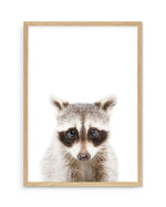 Little Raccoon Art Print-PRINT-Olive et Oriel-Olive et Oriel-A5 | 5.8" x 8.3" | 14.8 x 21cm-Oak-With White Border-Buy-Australian-Art-Prints-Online-with-Olive-et-Oriel-Your-Artwork-Specialists-Austrailia-Decorate-With-Coastal-Photo-Wall-Art-Prints-From-Our-Beach-House-Artwork-Collection-Fine-Poster-and-Framed-Artwork