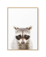 Little Raccoon | Framed Canvas-CANVAS-You can shop wall art online with Olive et Oriel for everything from abstract art to fun kids wall art. Our beautiful modern art prints and canvas art are available from large canvas prints to wall art paintings and our proudly Australian artwork collection offers only the highest quality framed large wall art and canvas art Australia - You can buy fashion photography prints or Hampton print posters and paintings on canvas from Olive et Oriel and have them d