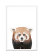 Little Red Panda Art Print-PRINT-Olive et Oriel-Olive et Oriel-A5 | 5.8" x 8.3" | 14.8 x 21cm-White-With White Border-Buy-Australian-Art-Prints-Online-with-Olive-et-Oriel-Your-Artwork-Specialists-Austrailia-Decorate-With-Coastal-Photo-Wall-Art-Prints-From-Our-Beach-House-Artwork-Collection-Fine-Poster-and-Framed-Artwork