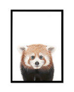 Little Red Panda Art Print-PRINT-Olive et Oriel-Olive et Oriel-A5 | 5.8" x 8.3" | 14.8 x 21cm-Black-With White Border-Buy-Australian-Art-Prints-Online-with-Olive-et-Oriel-Your-Artwork-Specialists-Austrailia-Decorate-With-Coastal-Photo-Wall-Art-Prints-From-Our-Beach-House-Artwork-Collection-Fine-Poster-and-Framed-Artwork