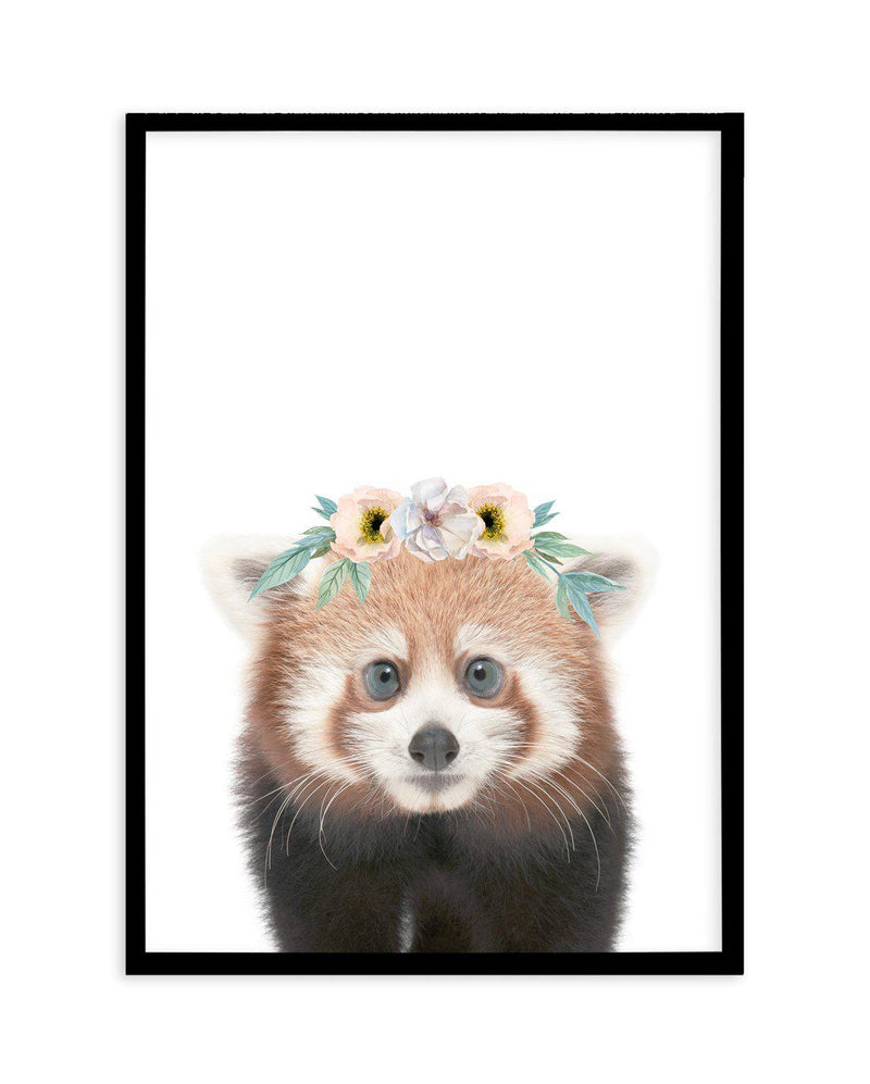 Little Red Panda | Flower Crown Art Print-PRINT-Olive et Oriel-Olive et Oriel-A5 | 5.8" x 8.3" | 14.8 x 21cm-Black-With White Border-Buy-Australian-Art-Prints-Online-with-Olive-et-Oriel-Your-Artwork-Specialists-Austrailia-Decorate-With-Coastal-Photo-Wall-Art-Prints-From-Our-Beach-House-Artwork-Collection-Fine-Poster-and-Framed-Artwork