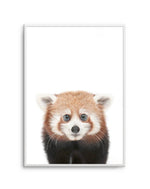 Little Red Panda Art Print-PRINT-Olive et Oriel-Olive et Oriel-A5 | 5.8" x 8.3" | 14.8 x 21cm-Unframed Art Print-With White Border-Buy-Australian-Art-Prints-Online-with-Olive-et-Oriel-Your-Artwork-Specialists-Austrailia-Decorate-With-Coastal-Photo-Wall-Art-Prints-From-Our-Beach-House-Artwork-Collection-Fine-Poster-and-Framed-Artwork