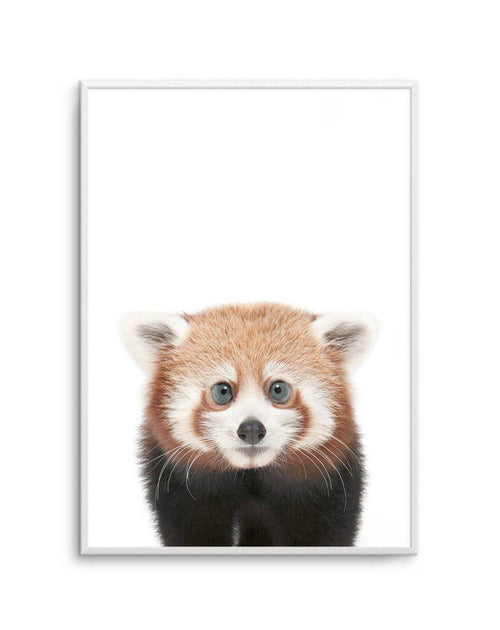 Little Red Panda Art Print-PRINT-Olive et Oriel-Olive et Oriel-A5 | 5.8" x 8.3" | 14.8 x 21cm-Unframed Art Print-With White Border-Buy-Australian-Art-Prints-Online-with-Olive-et-Oriel-Your-Artwork-Specialists-Austrailia-Decorate-With-Coastal-Photo-Wall-Art-Prints-From-Our-Beach-House-Artwork-Collection-Fine-Poster-and-Framed-Artwork