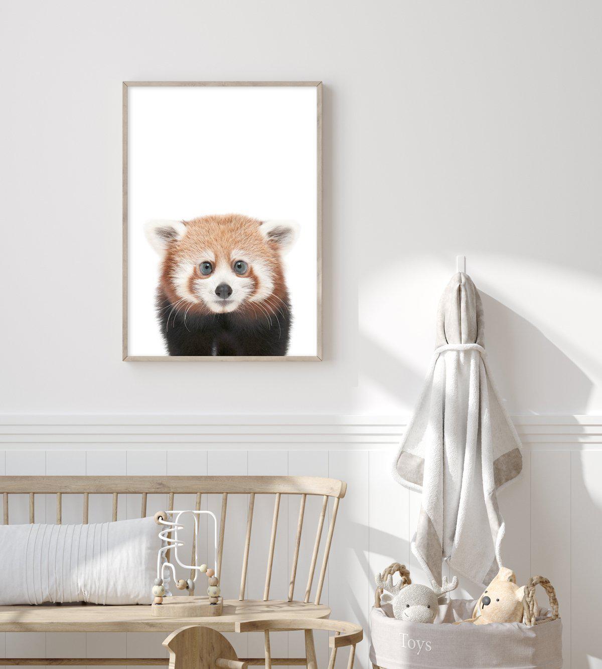 Little Red Panda Art Print-PRINT-Olive et Oriel-Olive et Oriel-Buy-Australian-Art-Prints-Online-with-Olive-et-Oriel-Your-Artwork-Specialists-Austrailia-Decorate-With-Coastal-Photo-Wall-Art-Prints-From-Our-Beach-House-Artwork-Collection-Fine-Poster-and-Framed-Artwork