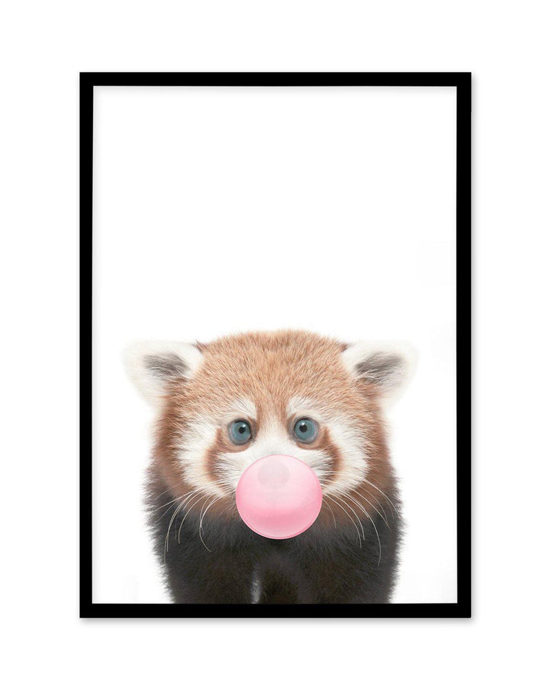 Little Red Panda | Blowing Pink Bubble Art Print-PRINT-Olive et Oriel-Olive et Oriel-A5 | 5.8" x 8.3" | 14.8 x 21cm-Black-With White Border-Buy-Australian-Art-Prints-Online-with-Olive-et-Oriel-Your-Artwork-Specialists-Austrailia-Decorate-With-Coastal-Photo-Wall-Art-Prints-From-Our-Beach-House-Artwork-Collection-Fine-Poster-and-Framed-Artwork