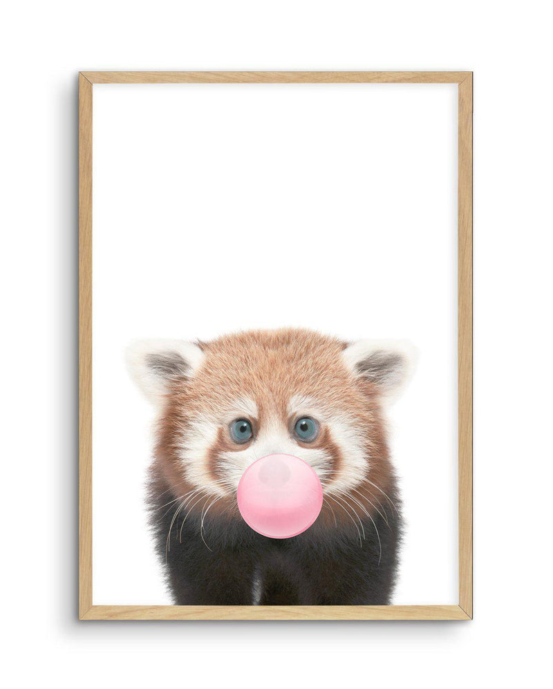 Little Red Panda | Blowing Pink Bubble Art Print-PRINT-Olive et Oriel-Olive et Oriel-A5 | 5.8" x 8.3" | 14.8 x 21cm-Oak-With White Border-Buy-Australian-Art-Prints-Online-with-Olive-et-Oriel-Your-Artwork-Specialists-Austrailia-Decorate-With-Coastal-Photo-Wall-Art-Prints-From-Our-Beach-House-Artwork-Collection-Fine-Poster-and-Framed-Artwork