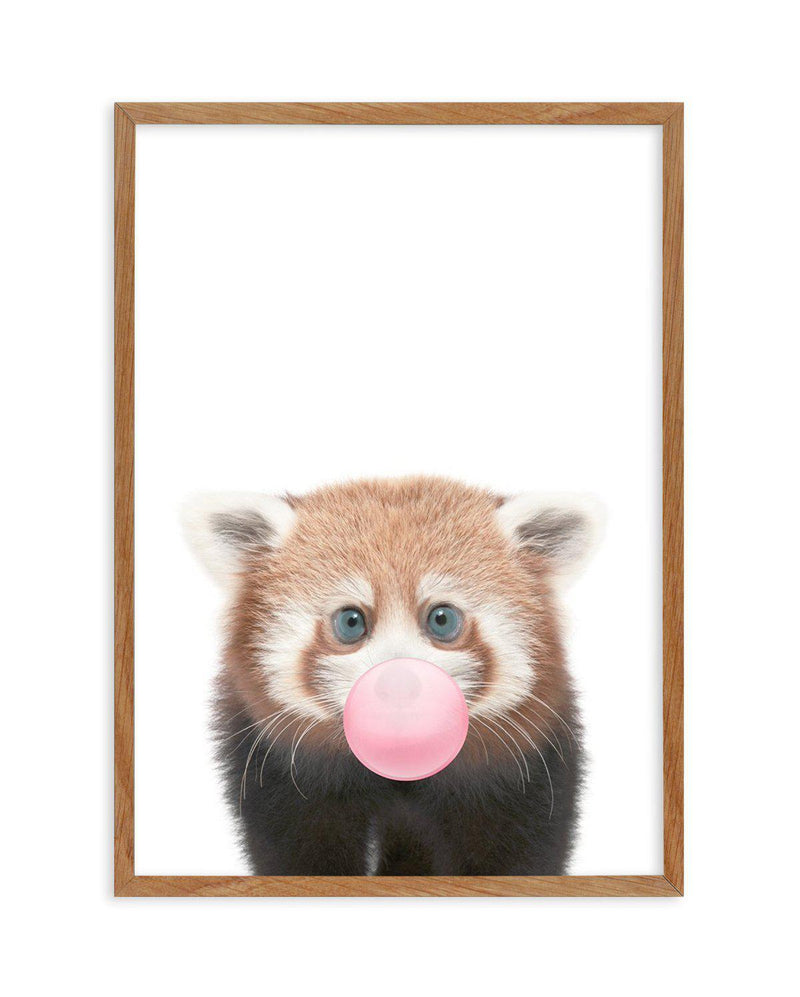 Little Red Panda | Blowing Pink Bubble Art Print-PRINT-Olive et Oriel-Olive et Oriel-Buy-Australian-Art-Prints-Online-with-Olive-et-Oriel-Your-Artwork-Specialists-Austrailia-Decorate-With-Coastal-Photo-Wall-Art-Prints-From-Our-Beach-House-Artwork-Collection-Fine-Poster-and-Framed-Artwork