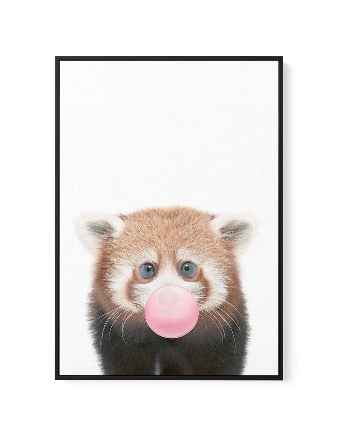 Little Red Panda | Blowing Pink Bubble | Framed Canvas-CANVAS-You can shop wall art online with Olive et Oriel for everything from abstract art to fun kids wall art. Our beautiful modern art prints and canvas art are available from large canvas prints to wall art paintings and our proudly Australian artwork collection offers only the highest quality framed large wall art and canvas art Australia - You can buy fashion photography prints or Hampton print posters and paintings on canvas from Olive 