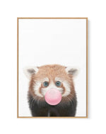 Little Red Panda | Blowing Pink Bubble | Framed Canvas-CANVAS-You can shop wall art online with Olive et Oriel for everything from abstract art to fun kids wall art. Our beautiful modern art prints and canvas art are available from large canvas prints to wall art paintings and our proudly Australian artwork collection offers only the highest quality framed large wall art and canvas art Australia - You can buy fashion photography prints or Hampton print posters and paintings on canvas from Olive 