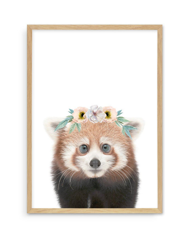 Little Red Panda | Flower Crown Art Print-PRINT-Olive et Oriel-Olive et Oriel-A5 | 5.8" x 8.3" | 14.8 x 21cm-Oak-With White Border-Buy-Australian-Art-Prints-Online-with-Olive-et-Oriel-Your-Artwork-Specialists-Austrailia-Decorate-With-Coastal-Photo-Wall-Art-Prints-From-Our-Beach-House-Artwork-Collection-Fine-Poster-and-Framed-Artwork