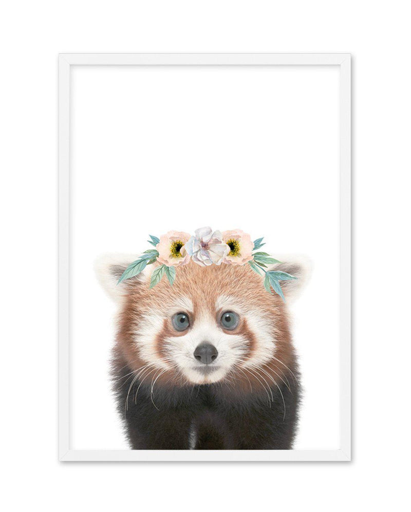 Little Red Panda | Flower Crown Art Print-PRINT-Olive et Oriel-Olive et Oriel-A5 | 5.8" x 8.3" | 14.8 x 21cm-White-With White Border-Buy-Australian-Art-Prints-Online-with-Olive-et-Oriel-Your-Artwork-Specialists-Austrailia-Decorate-With-Coastal-Photo-Wall-Art-Prints-From-Our-Beach-House-Artwork-Collection-Fine-Poster-and-Framed-Artwork