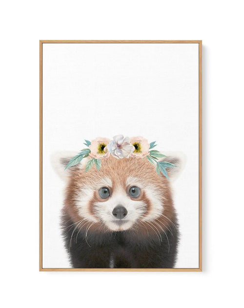 Little Red Panda | Flower Crown | Framed Canvas-CANVAS-You can shop wall art online with Olive et Oriel for everything from abstract art to fun kids wall art. Our beautiful modern art prints and canvas art are available from large canvas prints to wall art paintings and our proudly Australian artwork collection offers only the highest quality framed large wall art and canvas art Australia - You can buy fashion photography prints or Hampton print posters and paintings on canvas from Olive et Orie