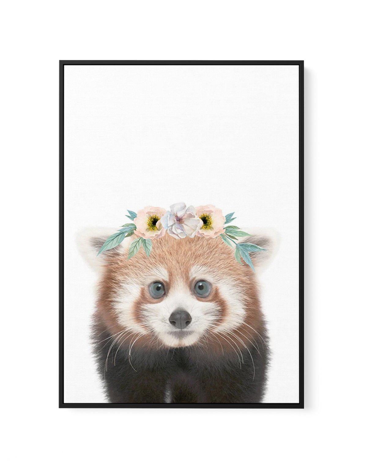 Little Red Panda | Flower Crown | Framed Canvas-CANVAS-You can shop wall art online with Olive et Oriel for everything from abstract art to fun kids wall art. Our beautiful modern art prints and canvas art are available from large canvas prints to wall art paintings and our proudly Australian artwork collection offers only the highest quality framed large wall art and canvas art Australia - You can buy fashion photography prints or Hampton print posters and paintings on canvas from Olive et Orie