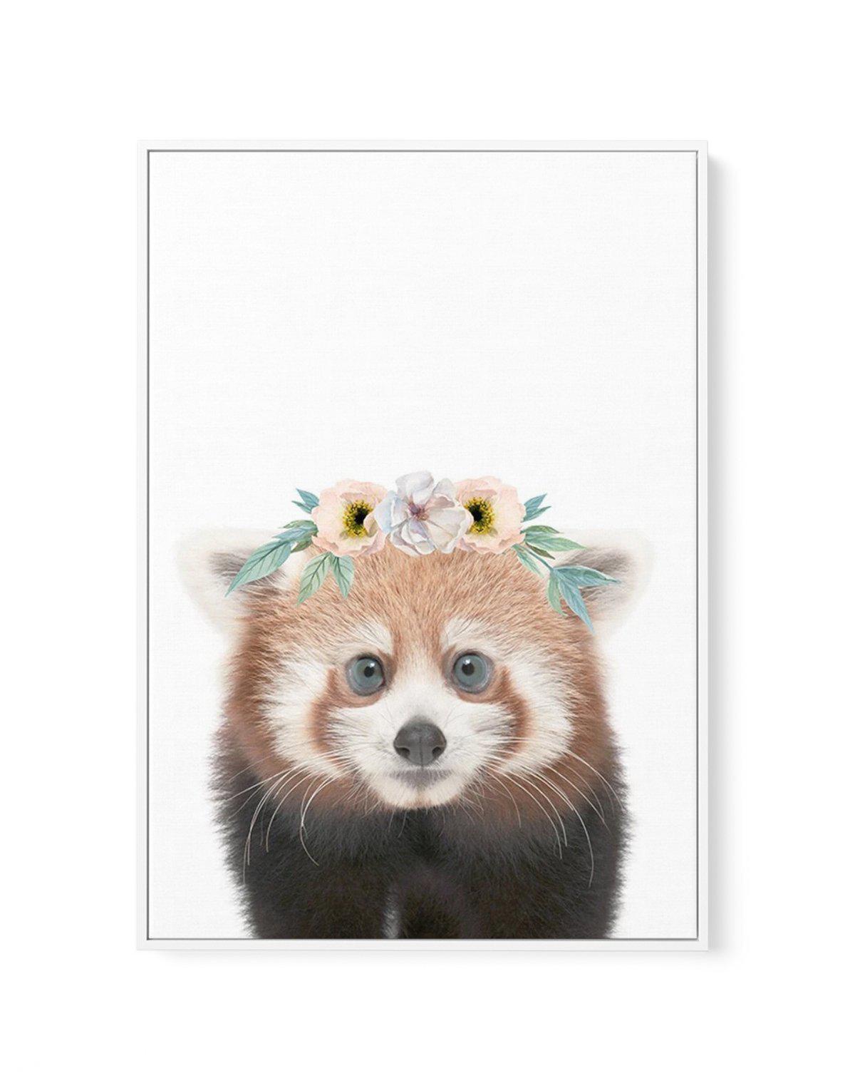 Little Red Panda | Flower Crown | Framed Canvas-CANVAS-You can shop wall art online with Olive et Oriel for everything from abstract art to fun kids wall art. Our beautiful modern art prints and canvas art are available from large canvas prints to wall art paintings and our proudly Australian artwork collection offers only the highest quality framed large wall art and canvas art Australia - You can buy fashion photography prints or Hampton print posters and paintings on canvas from Olive et Orie